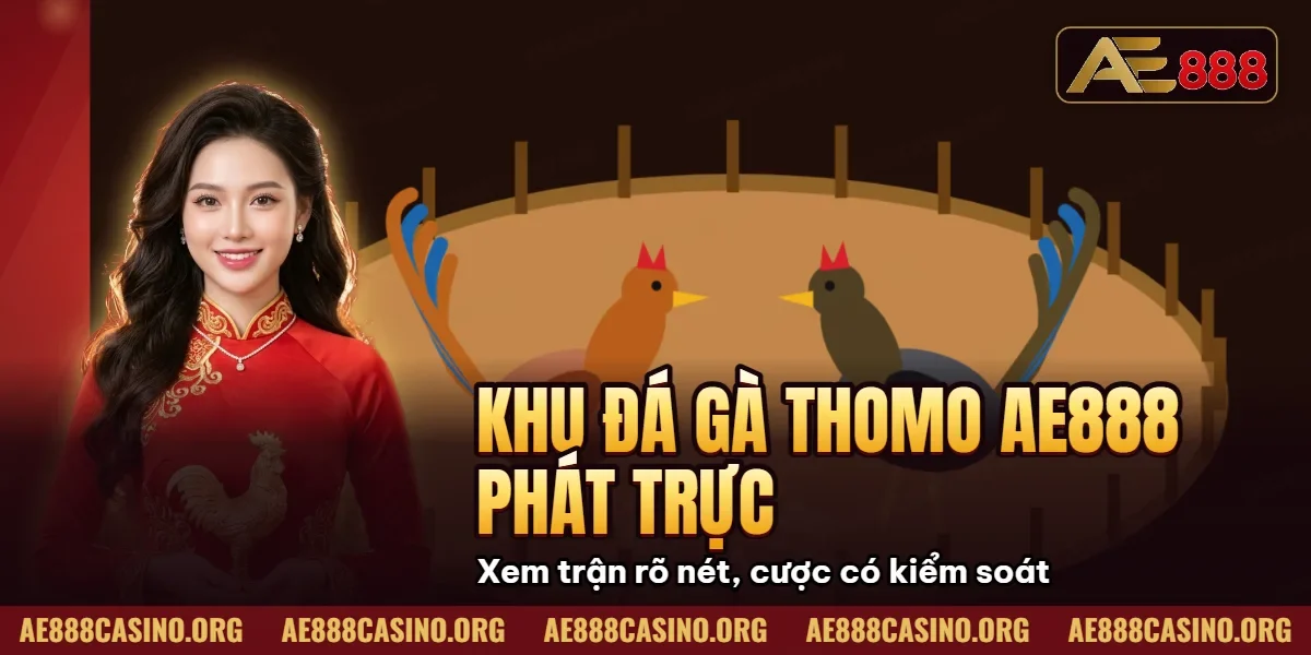 Khu đá gà Thomo AE888 phát trực tiếp HD