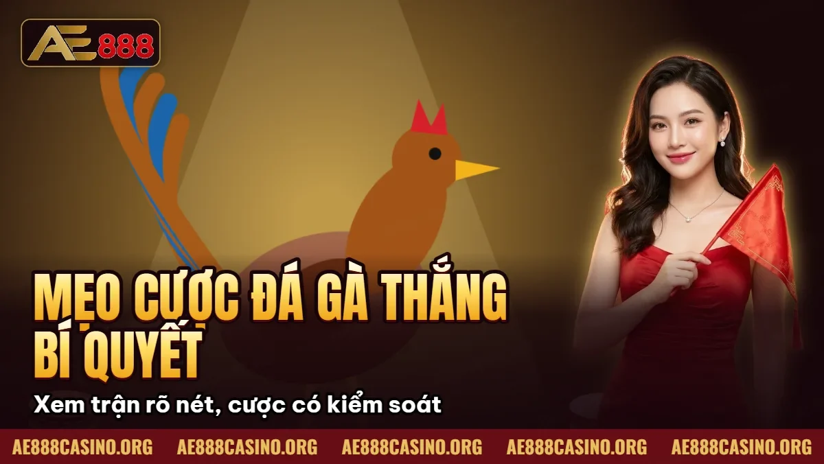 Mẹo Cược Đá Gà Thắng – Bí Quyết Soi Gà Cao Thủ Từ AE888