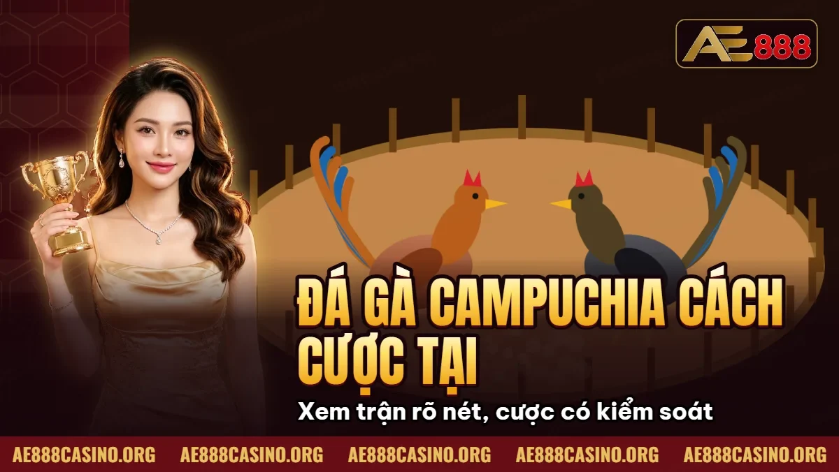 Đá Gà Campuchia – Cách Cược Tại Trường Gà Chính Thức AE888